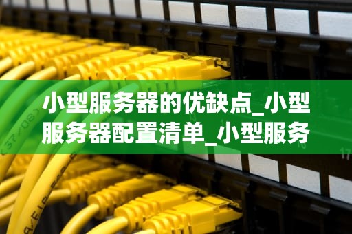 小型服务器的优缺点_小型服务器配置清单_小型服务器的优缺点