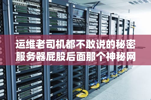 运维老司机都不敢说的秘密服务器屁股后面那个神秘网口到底有啥用？