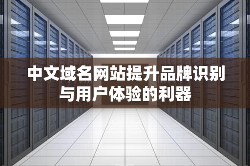 中文域名网站提升品牌识别与用户体验的利器