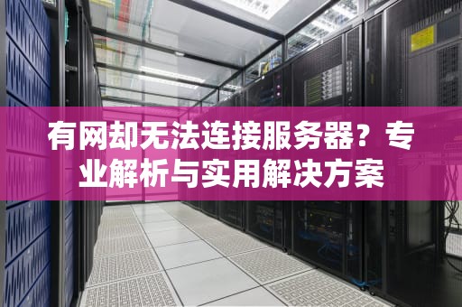 有网却无法连接服务器？专业解析与实用解决方案