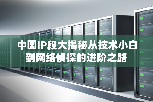 中国IP段大揭秘从技术小白到网络侦探的进阶之路