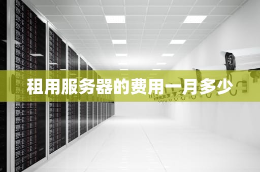 租用服务器的费用一月多少