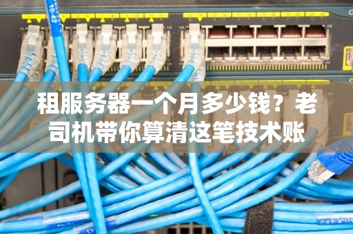 租服务器一个月多少钱？老司机带你算清这笔技术账