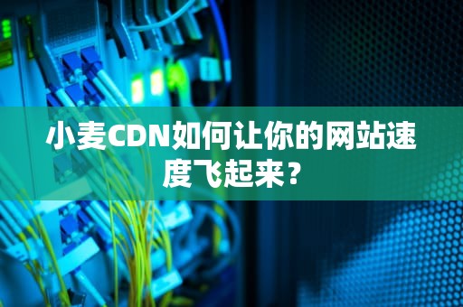 小麦CDN如何让你的网站速度飞起来？