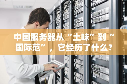 中国服务器从“土味”到“国际范”，它经历了什么？