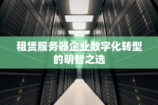 租赁服务器企业数字化转型的明智之选