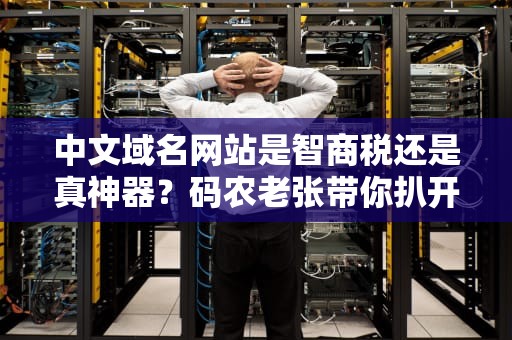 中文域名网站是智商税还是真神器？码农老张带你扒开网址的底裤