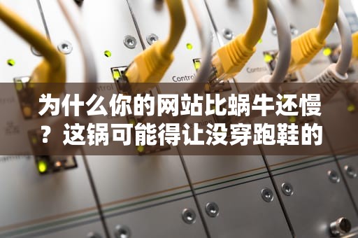 为什么你的网站比蜗牛还慢？这锅可能得让没穿跑鞋的服务器来背！