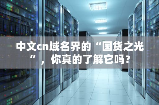 中文cn域名界的“国货之光”，你真的了解它吗？