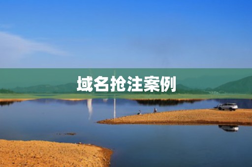 域名抢注案例