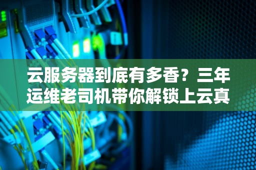云服务器到底有多香？三年运维老司机带你解锁上云真香定律