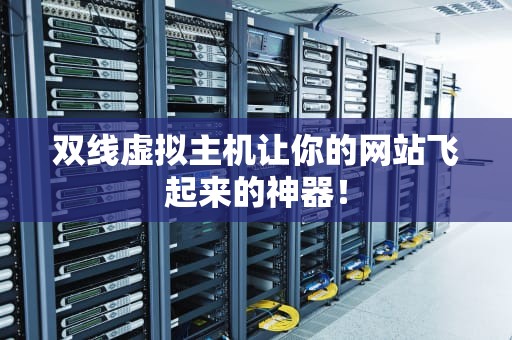 双线虚拟主机让你的网站飞起来的神器！