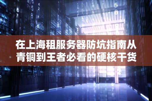 在上海租服务器防坑指南从青铜到王者必看的硬核干货