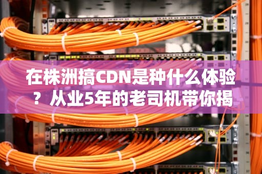 在株洲搞CDN是种什么体验？从业5年的老司机带你揭秘行业招聘内幕
