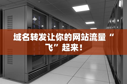 域名转发让你的网站流量“飞”起来！