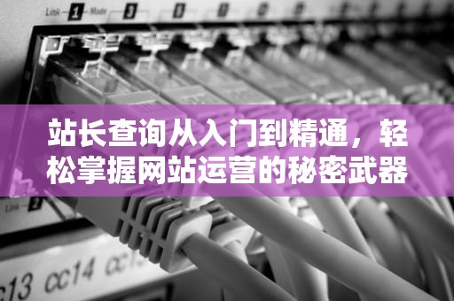站长查询从入门到精通，轻松掌握网站运营的秘密武器