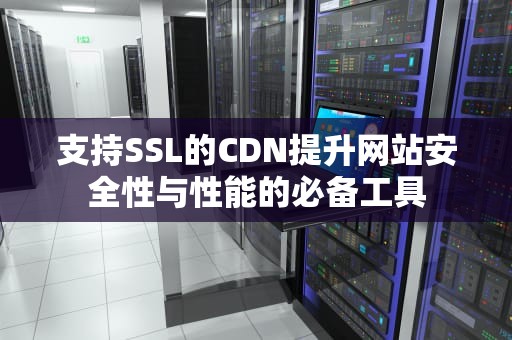 支持SSL的CDN提升网站安全性与性能的必备工具