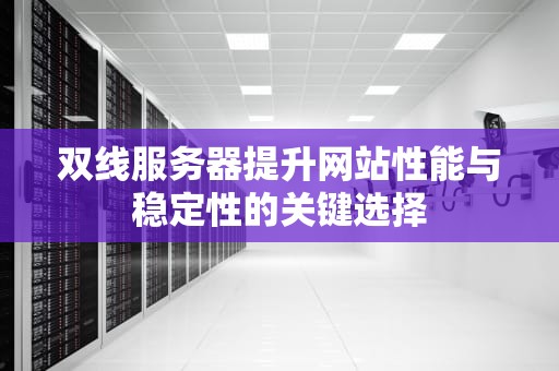 双线服务器提升网站性能与稳定性的关键选择