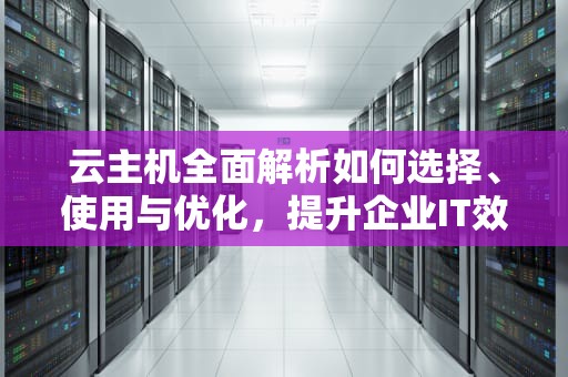 云主机全面解析如何选择、使用与优化，提升企业IT效率