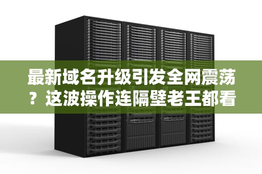 最新域名升级引发全网震荡？这波操作连隔壁老王都看懵了！