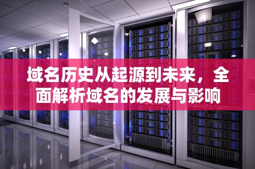 域名历史从起源到未来，全面解析域名的发展与影响