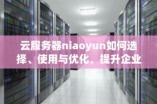 云服务器niaoyun如何选择、使用与优化，提升企业效率的实用指南
