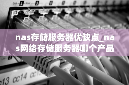 nas存储服务器优缺点_nas网络存储服务器哪个产品好_NAS存储服务器的优缺点分析