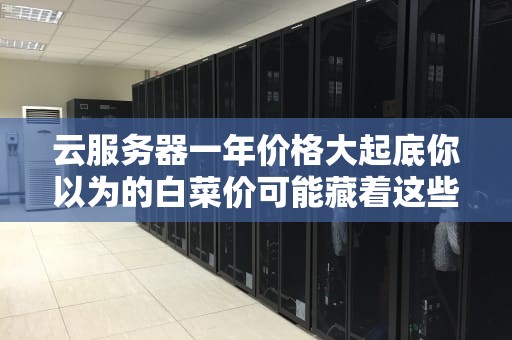 云服务器一年价格大起底你以为的白菜价可能藏着这些猫腻！