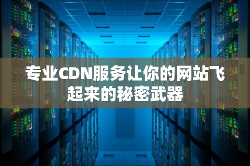 专业CDN服务让你的网站飞起来的秘密武器