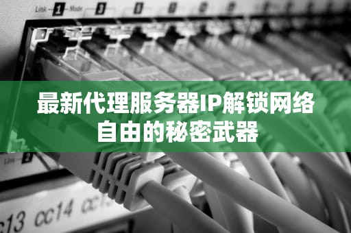 最新代理服务器IP解锁网络自由的秘密武器