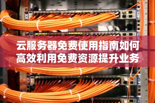 云服务器免费使用指南如何高效利用免费资源提升业务效率