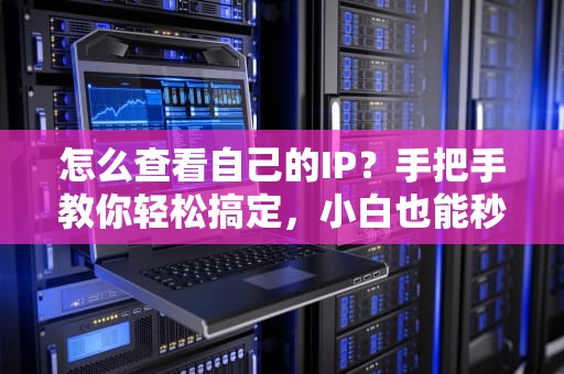 怎么查看自己的IP？手把手教你轻松搞定，小白也能秒变网络达人！