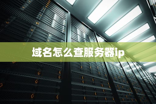 域名怎么查服务器ip