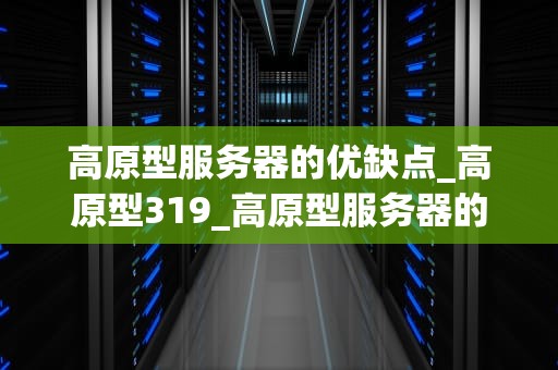 高原型服务器的优缺点_高原型319_高原型服务器的优缺点