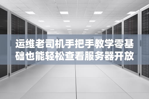 运维老司机手把手教学零基础也能轻松查看服务器开放的端口！
