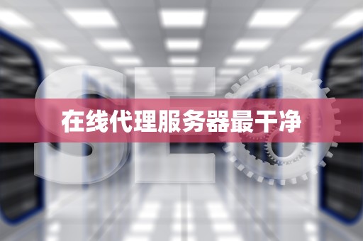 在线代理服务器最干净