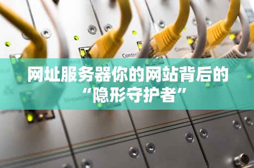 网址服务器你的网站背后的“隐形守护者”