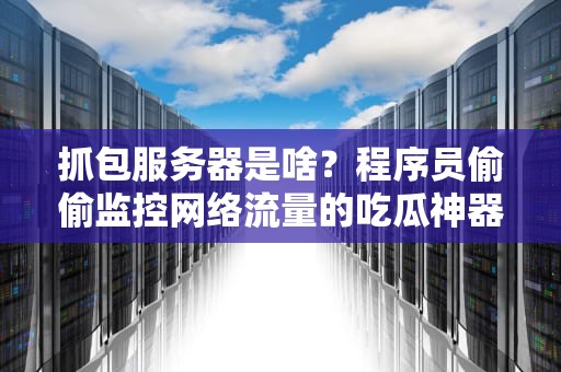 抓包服务器是啥？程序员偷偷监控网络流量的吃瓜神器？
