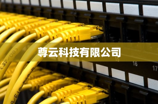 尊云科技有限公司