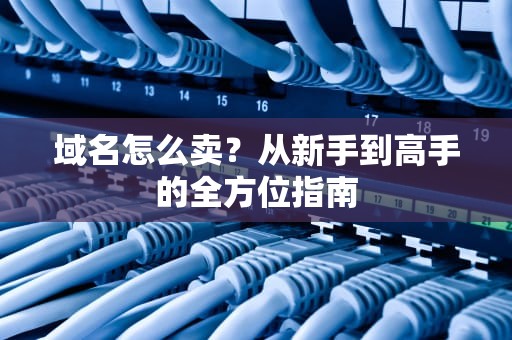 域名怎么卖？从新手到高手的全方位指南
