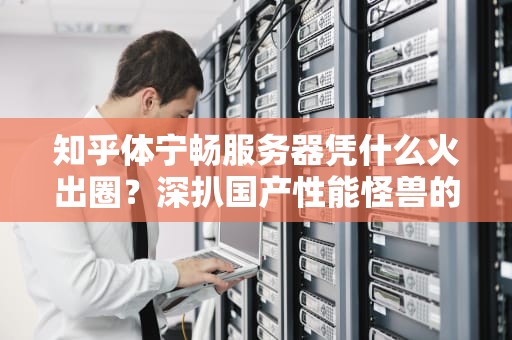 知乎体宁畅服务器凭什么火出圈？深扒国产性能怪兽的硬核实力！