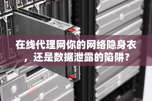 在线代理网你的网络隐身衣，还是数据泄露的陷阱？