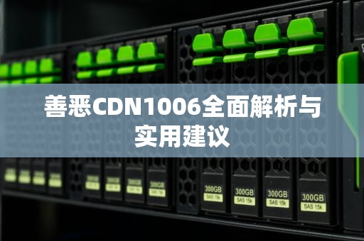 善恶CDN1006全面解析与实用建议