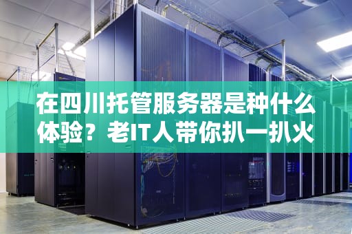 在四川托管服务器是种什么体验？老IT人带你扒一扒火锅底料级硬核知识