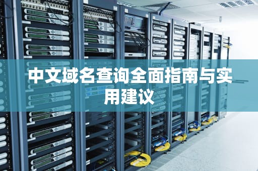 中文域名查询全面指南与实用建议