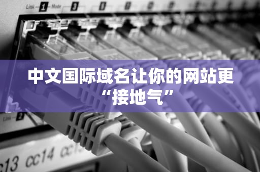 中文国际域名让你的网站更“接地气”
