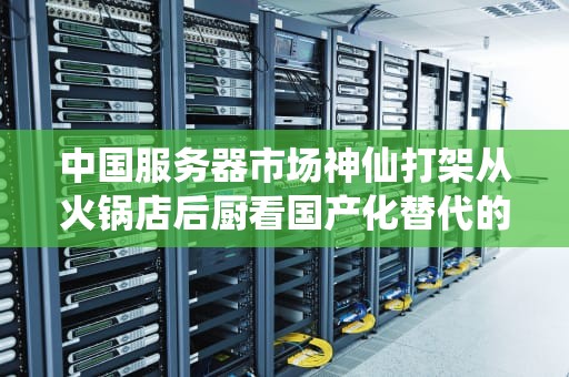 中国服务器市场神仙打架从火锅店后厨看国产化替代的硬核内卷