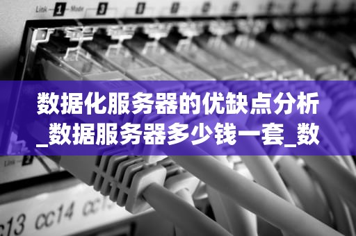 数据化服务器的优缺点分析_数据服务器多少钱一套_数据化服务器的优缺点分析