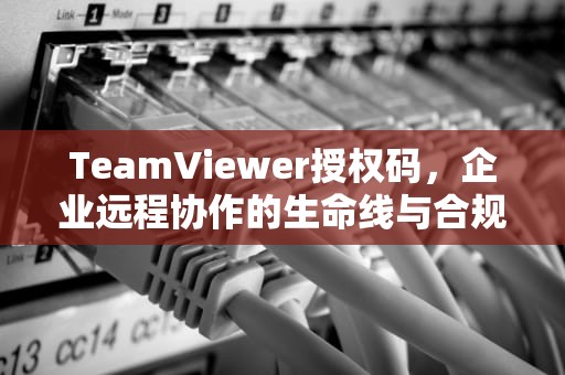 TeamViewer授权码，企业远程协作的生命线与合规使用指南，teamviewer授权码在哪