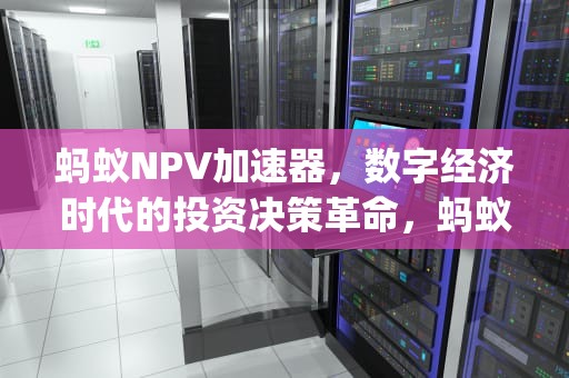 蚂蚁NPV加速器，数字经济时代的投资决策革命，蚂蚁npv加速器官网